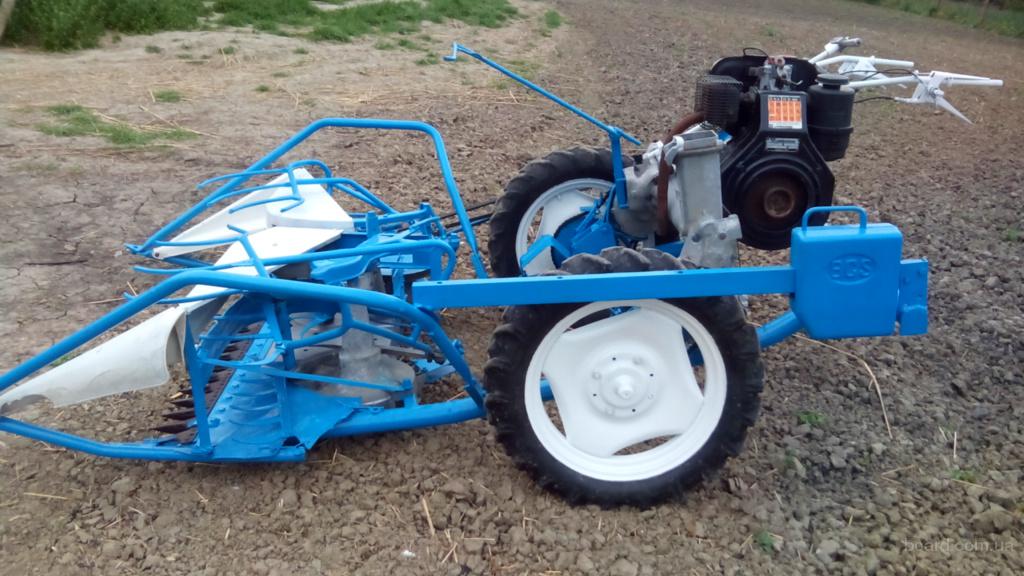 انواع دروگر گندم دیم عالی و ممتاز