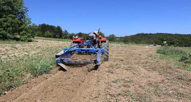 دروگر گندم تراکتور با تضمین کیفیت در فرآوری گندم