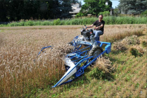 سفارش دروگر گندم + شرایط استثنایی