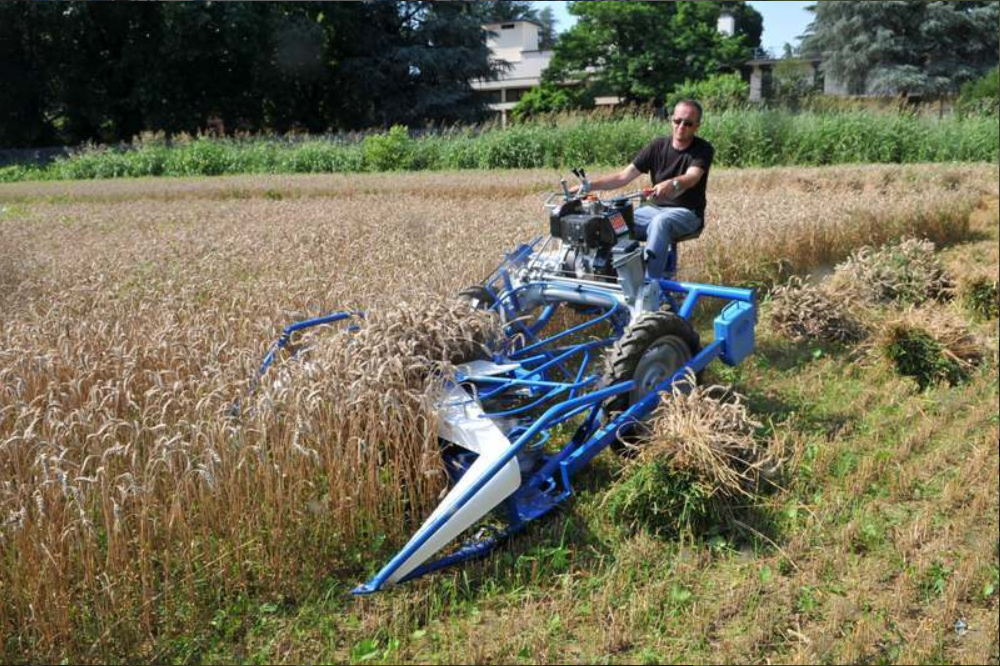 سفارش دروگر گندم + شرایط استثنایی