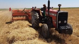 عرضه دروگر گندم پشت تراکتوری با کیفیت و ممتاز